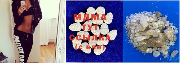 индика Вязьма